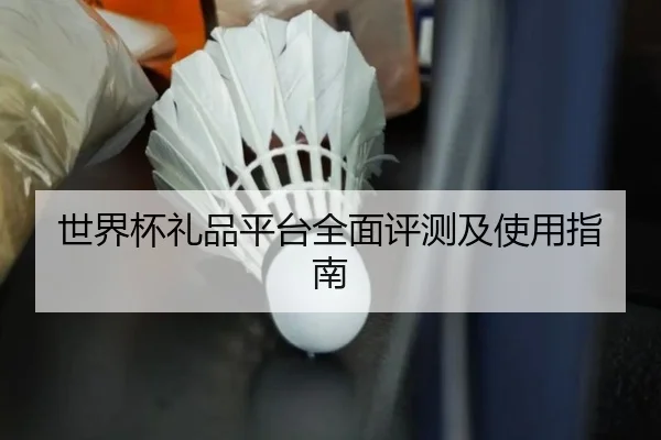 世界杯礼品平台全面评测及使用指南