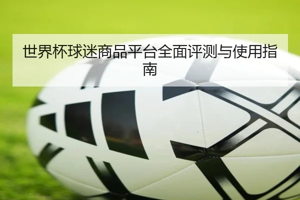 世界杯球迷商品平台全面评测与使用指南