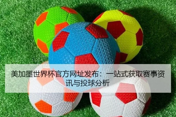 美加墨世界杯官方网址发布：一站式获取赛事资讯与投球分析