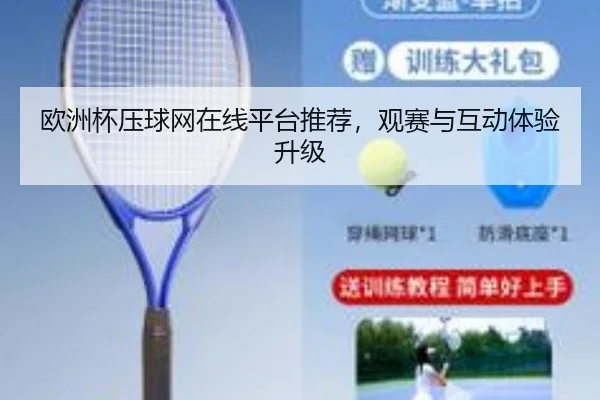 欧洲杯压球网在线平台推荐，观赛与互动体验升级